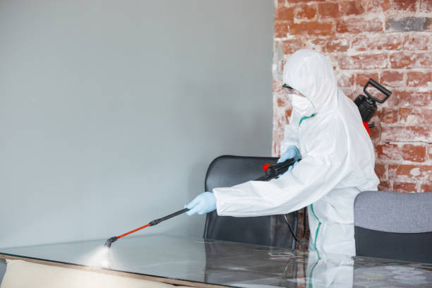 Upper Montclair, NJ Mold Removal Services Company